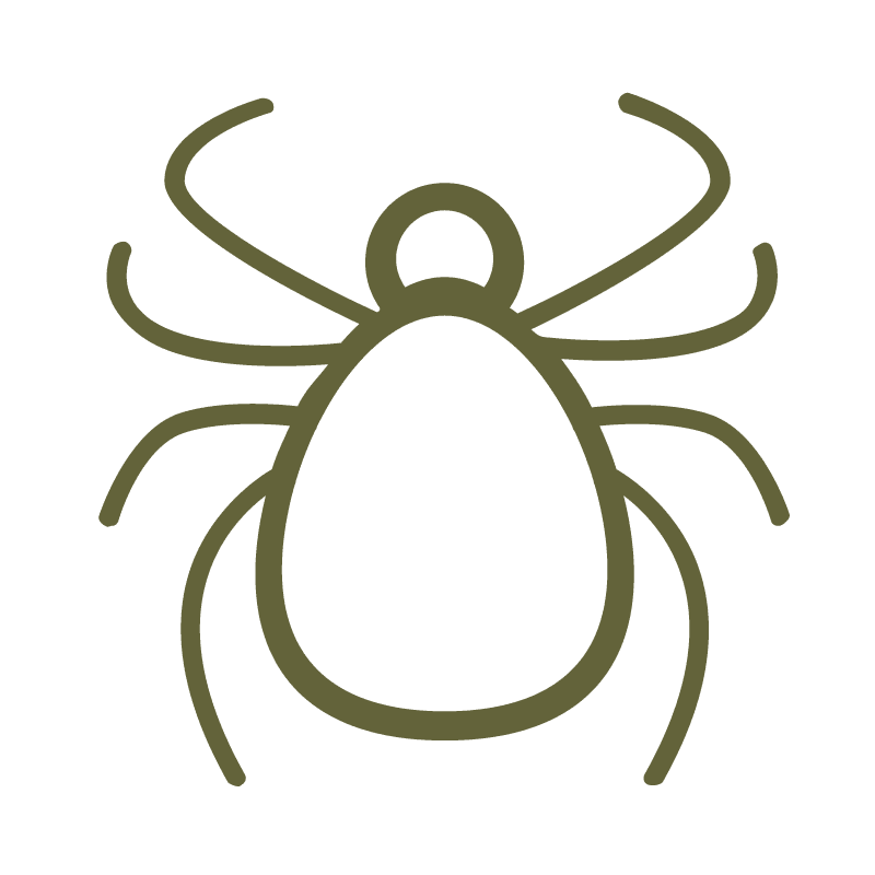 Flea, tick and worm