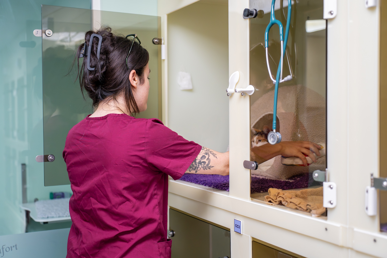 Lomond Hills Veterinary Clinic (Web) 054