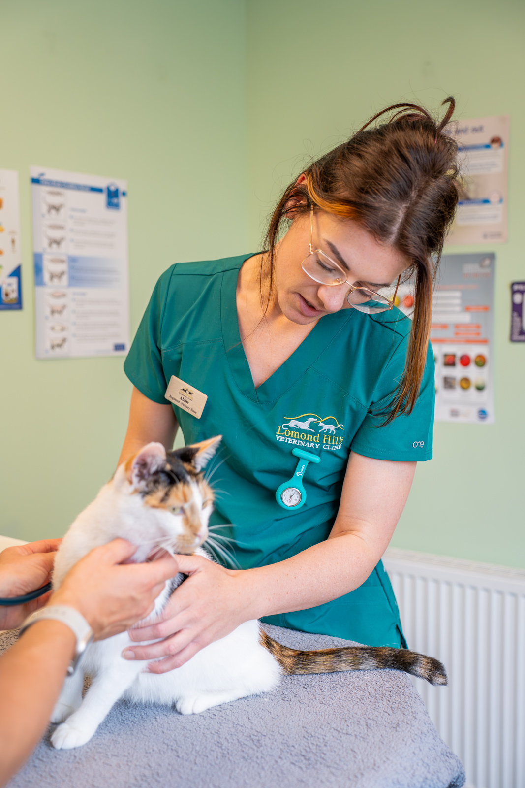 Lomond Hills Veterinary Clinic (Web) 067